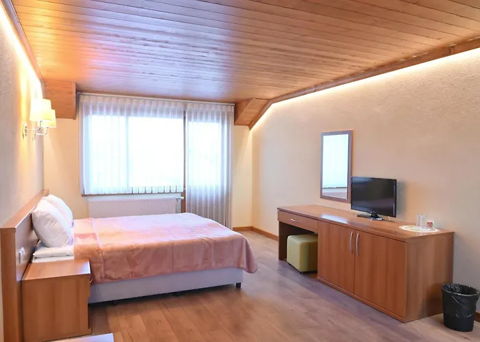 гранит 게스트하우스 3*